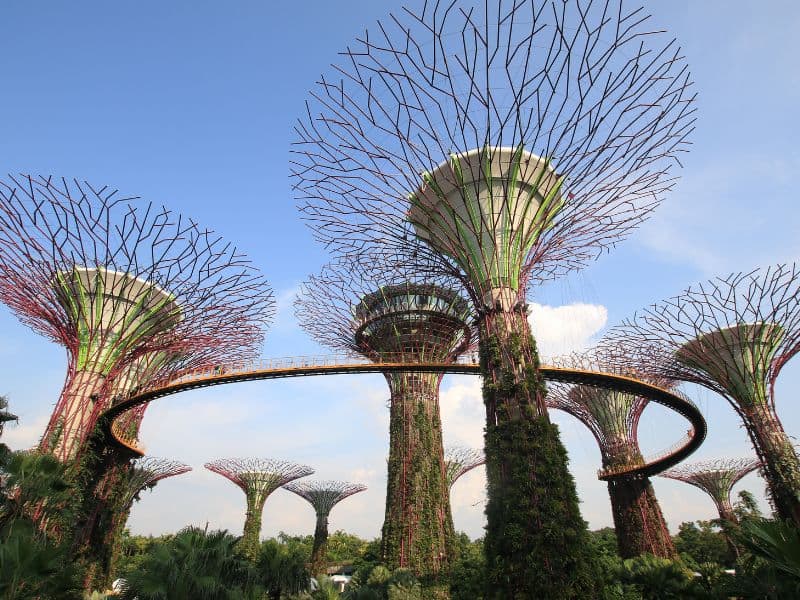 Singapore Gardens by the Bay