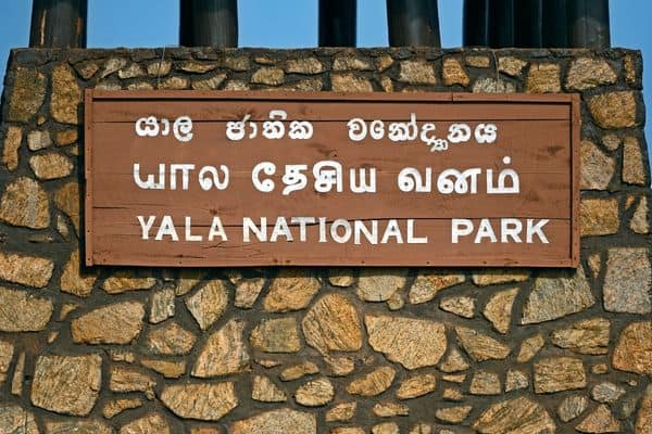 Yala National Park