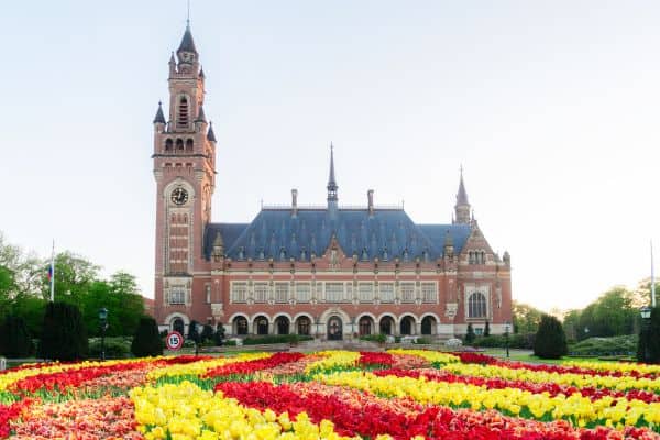 The Hague in bloom